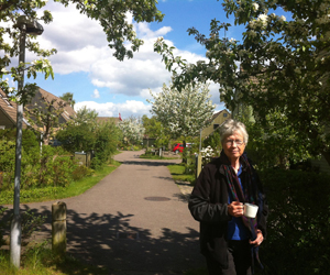 Liv  i Strædet